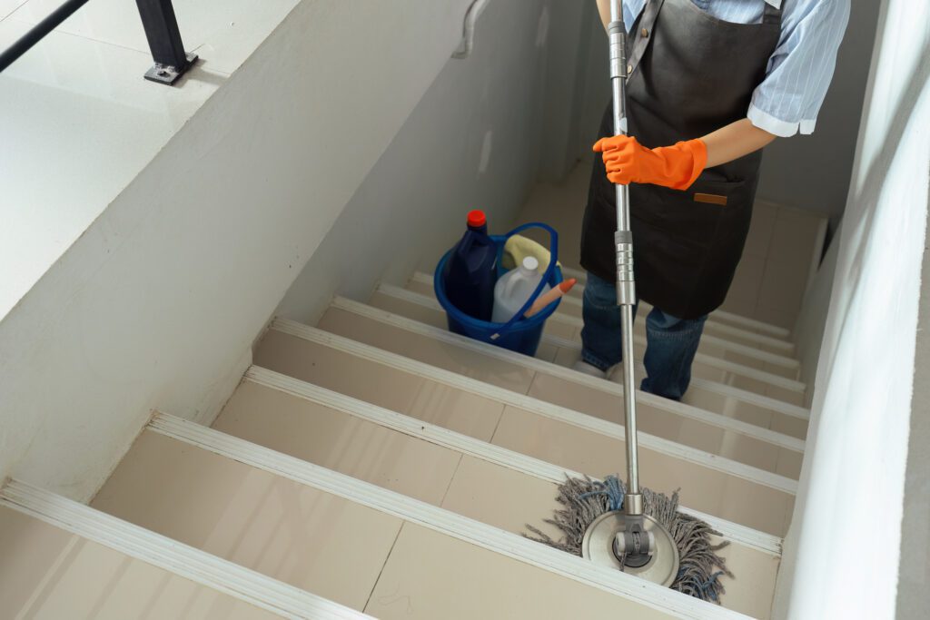 Professional cleaning services in JB for homes and offices